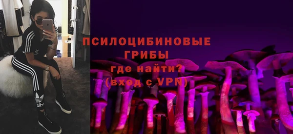 спайс Богородицк