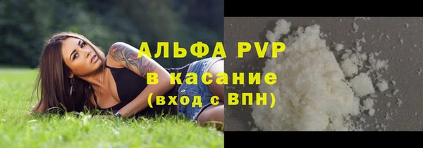 ECSTASY Богородск