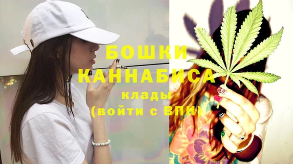 ECSTASY Богородск