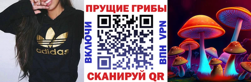 Галлюциногенные грибы MAGIC MUSHROOMS Горняк