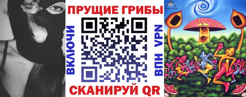 Галлюциногенные грибы Cubensis  Купить закладки  Горняк 